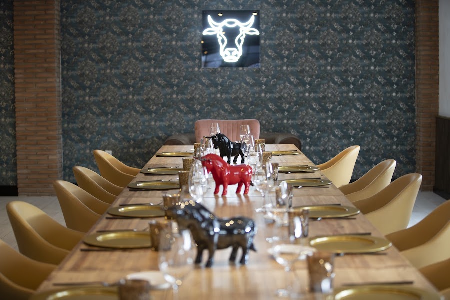 Bos Taurus